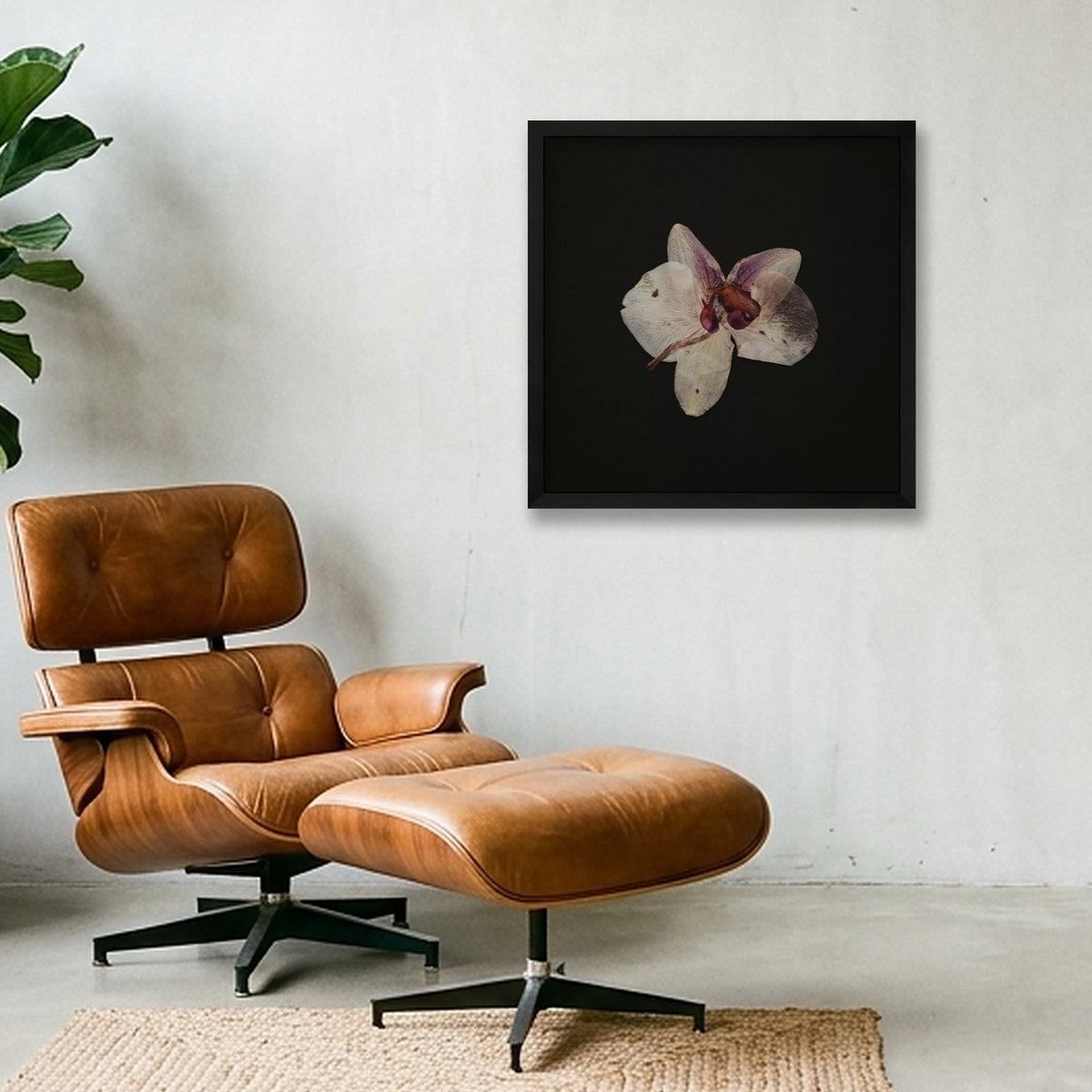 Dried orchid  — 40×40cm, 16×16" Black Frame