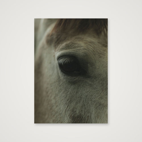 Details  — 70×100cm, 28×39" Print only