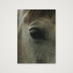 Details  — A4 (21×30cm, 8×12") Print only