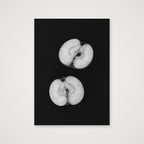 Monochrome apples — A4 (21×30cm, 8×12") Print only