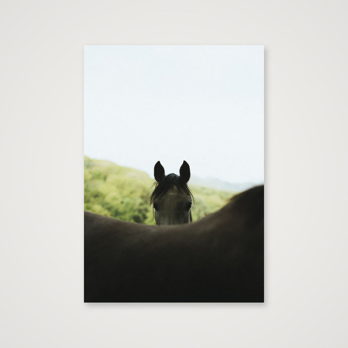 Peekaboo  — 70×100cm, 28×39" Print only