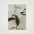 Lily bloom — A4 (21×30cm, 8×12") Print only