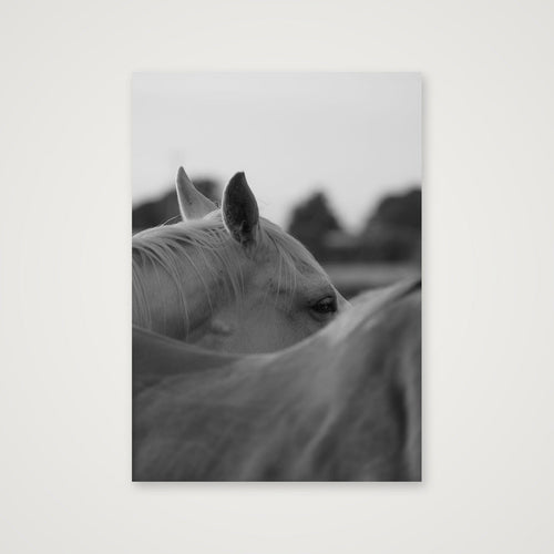 I see you — A3 (30×42cm, 12×17") Print only