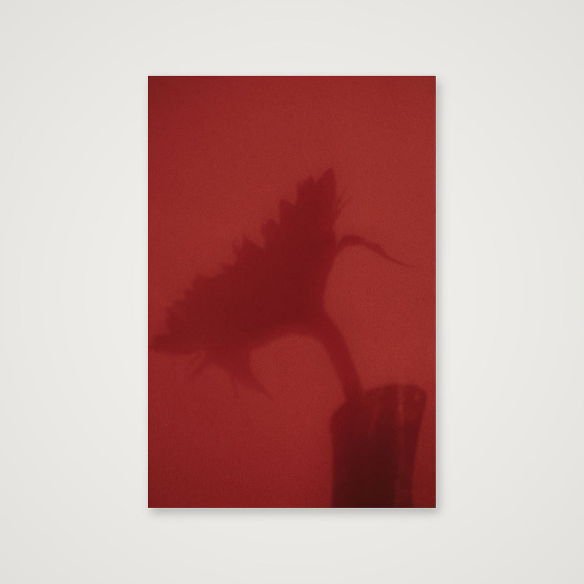 Sunflower shadow  — 40×60cm, 16×24" Print only