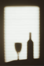 Shadow Play