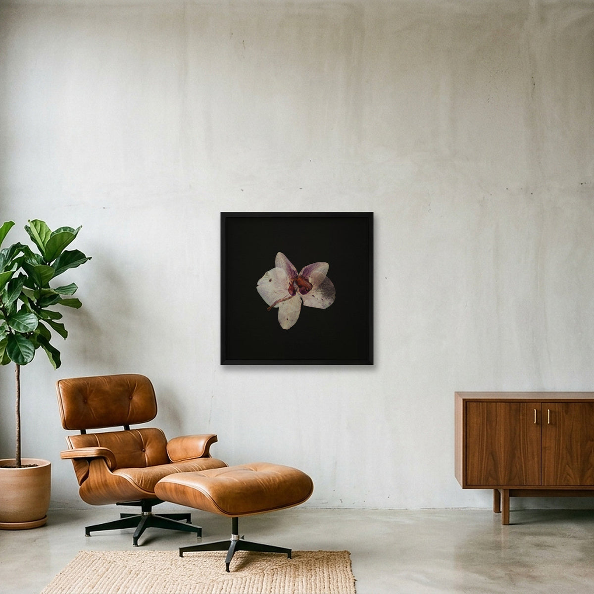 Dried orchid  — 50×50cm, 20×20" Black Frame