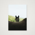 Peekaboo  — A4 (21×30cm, 8×12") Print only