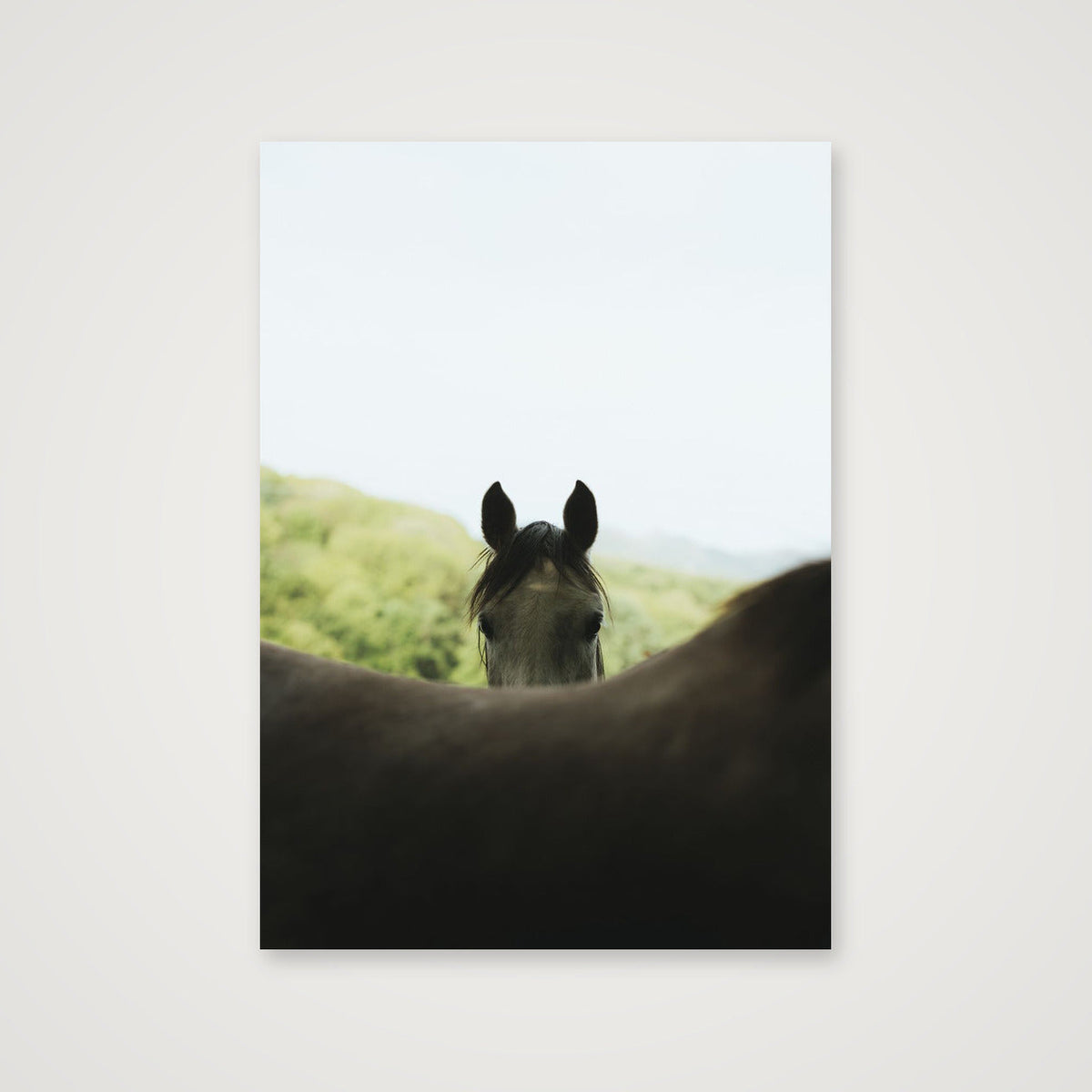 Peekaboo  — A4 (21×30cm, 8×12") Print only