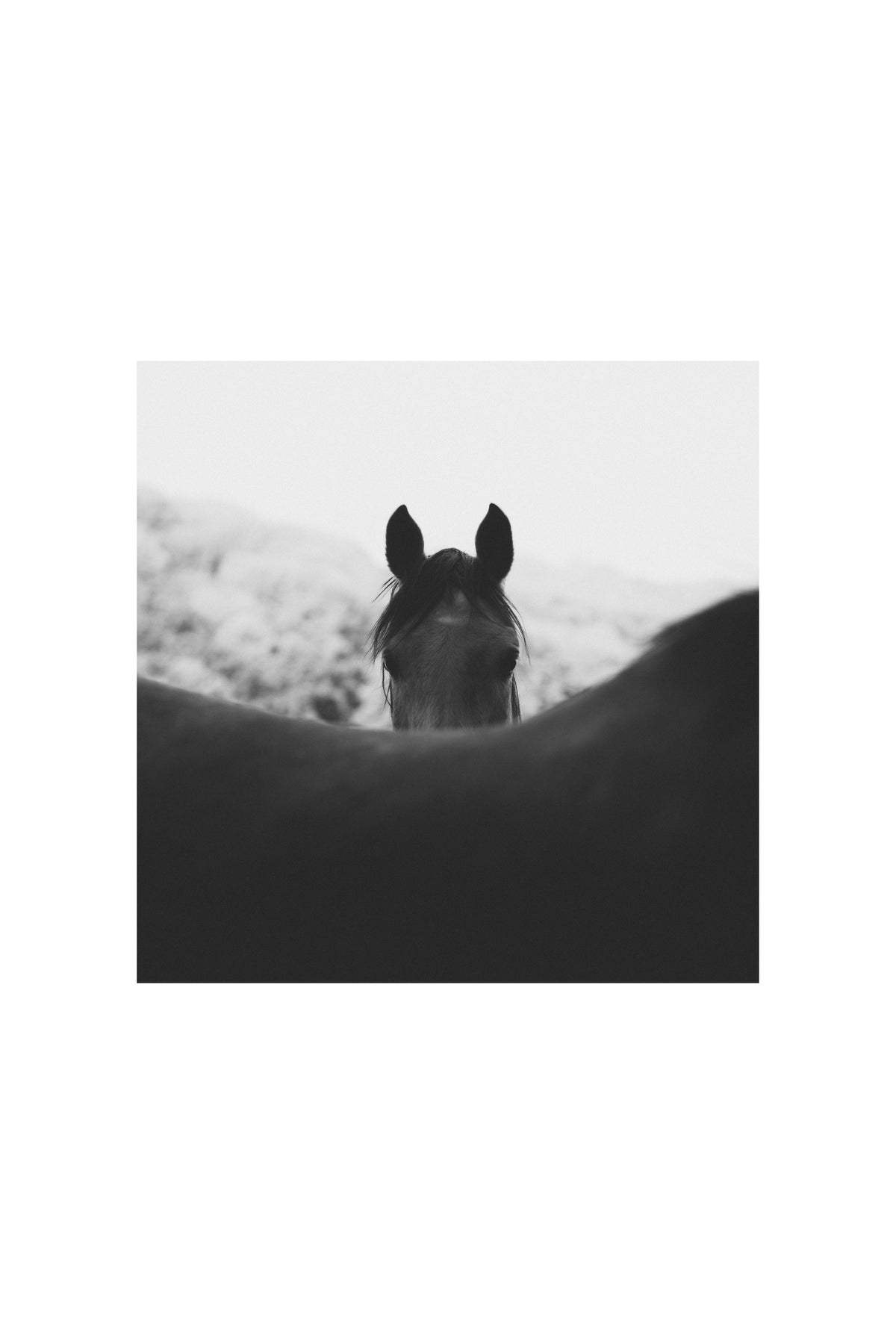 Peekaboo B&W