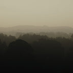 Layers