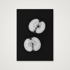 Monochrome apples — A4 (21×30cm, 8×12") Print only