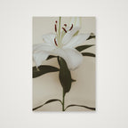 Lily Bloom  — 40×60cm, 16×24" Print only
