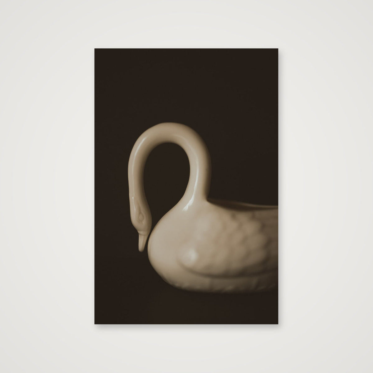 Belleek swan  — 40×60cm, 16×24" Print only