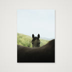Peekaboo  — A4 (21×30cm, 8×12") Print only