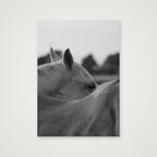 I see you — A4 (21×30cm, 8×12") Print only