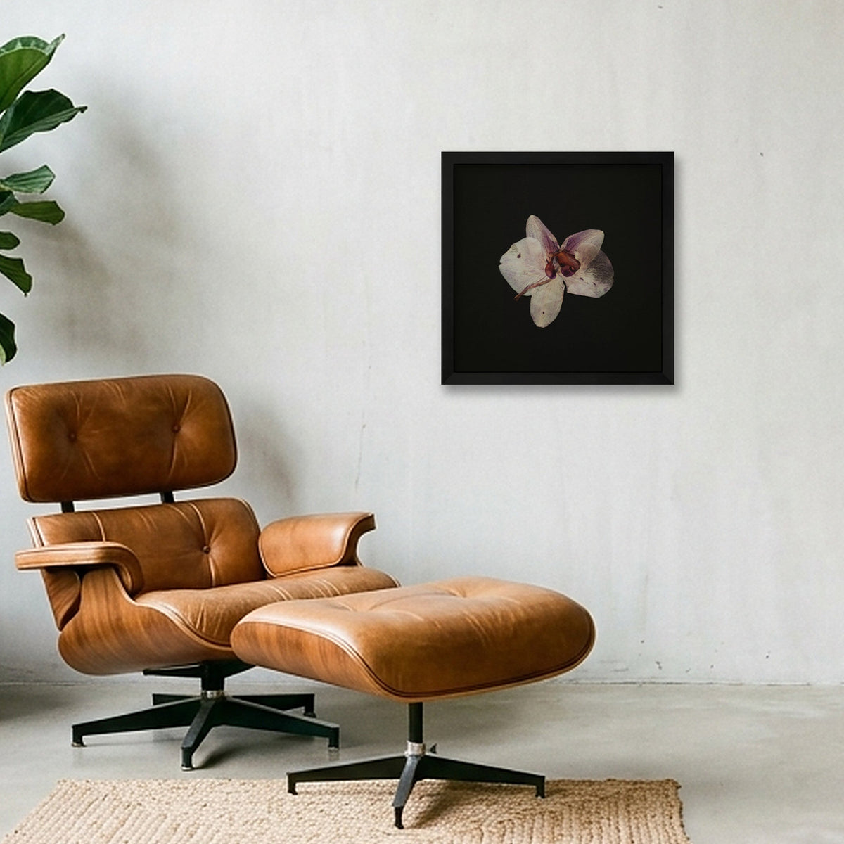 Dried orchid  — 30×30cm, 12×12" Black Frame